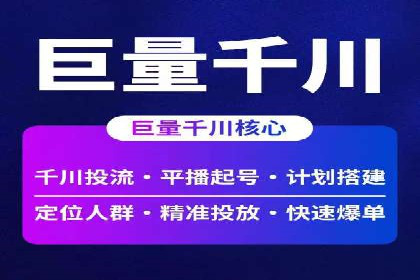 网络推广策略：竞价广告的实践案例